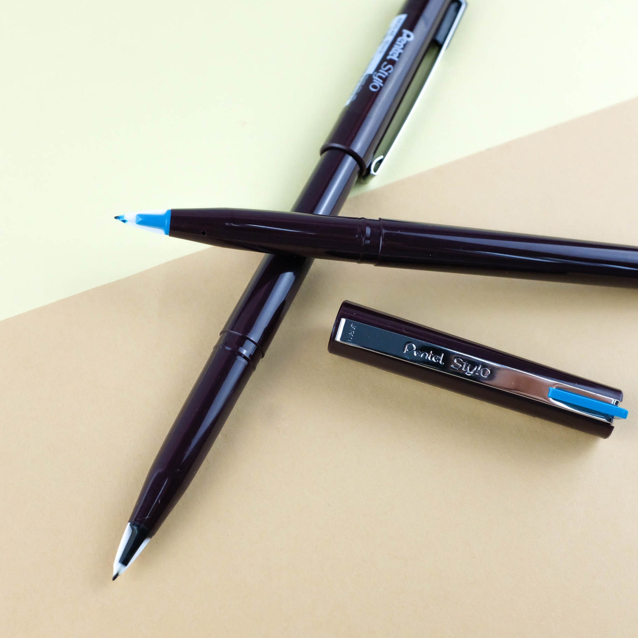 Stylo In English Drawing Pen in Singapore, Pentel Stylo Fountain Pen - Pentel Singapore